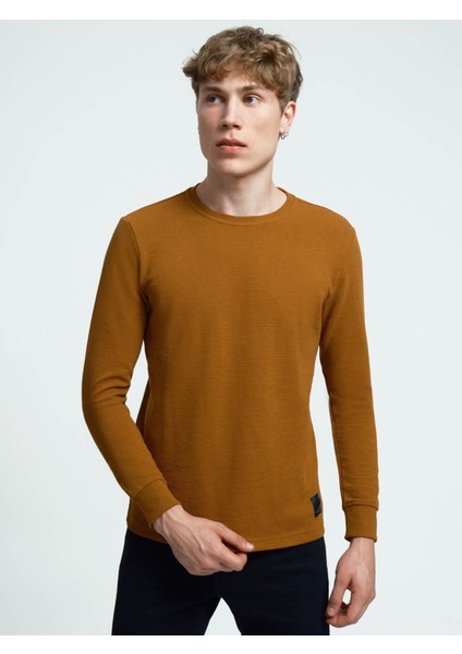 Erkek Sweatshirt Açık Kahverengi LF2034194