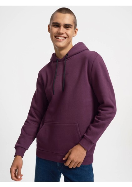 Erkek Sweatshirt Mor LF2034269