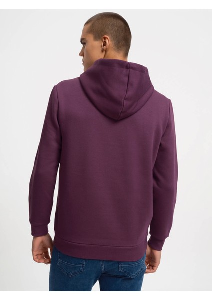 Erkek Sweatshirt Mor LF2034269