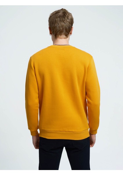 Erkek Sweatshirt Sarı LF2034268 fiyatları