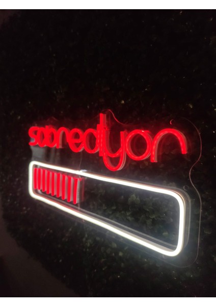 Sabrediyor Neon LED Tabela fiyatları