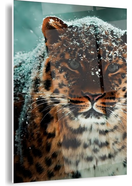 Leopar Cam Tablo fiyatları