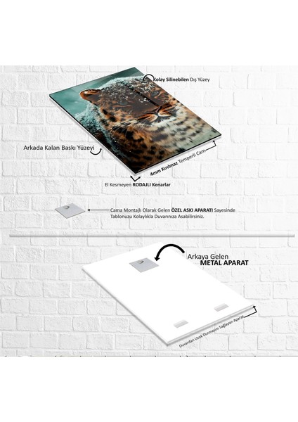 Leopar Cam Tablo indirimleri