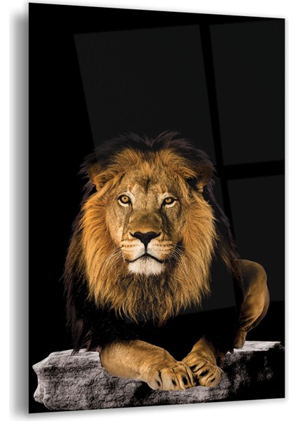 Aslan Cam Tablo