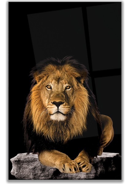 Aslan Cam Tablo