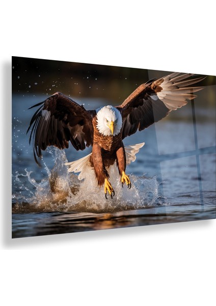 Kartal Cam Tablo fiyatları