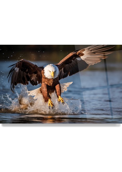 Kartal Cam Tablo fırsatları