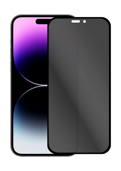 Apple iPhone 15 / 15 Plus / 15 Pro / 15 Pro Max Uyumlu Tam Kaplayan Hayalet Cam Koruyucu Siyah
