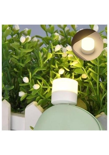 Mini Boy Usb Aydınlatma Led Göz Korumalı Okuma Işığı Mini Led Kolay Kullanılabilir Usb Gece Lambası