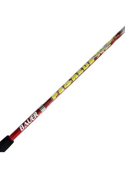 Pegasus 75-150 gr Olta Kamışı