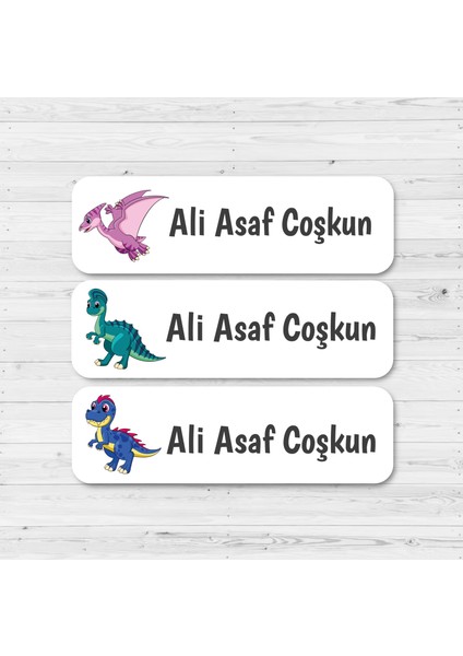 Kişiye Özel Okul Etiket Seti - 180 Adet - Kokusuz Ekolojik Mürekkep Pvc Etiket Sticker-Dinozor Model