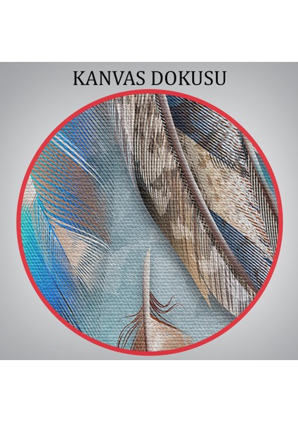 Kuş Tüyü Dekoratif Kanvas Duvar Tablosu -3423