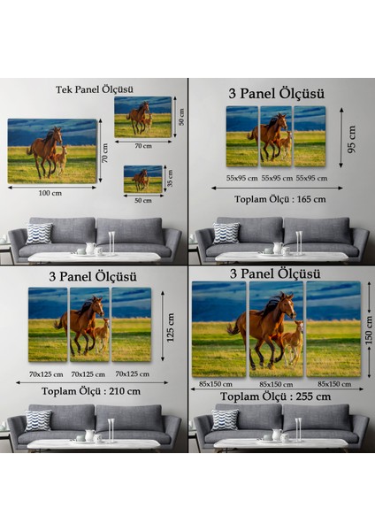 At ve Tay Manzaralı Dekoratif Kanvas Tablo 1173 fırsatları