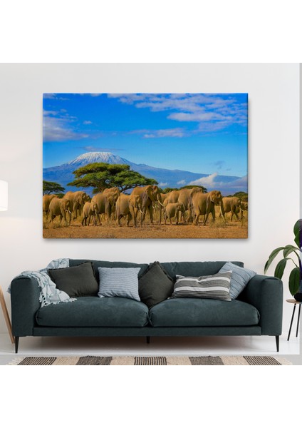 Fil Sürüsü Dekoratif Kanvas Tablo 1143 fiyatları