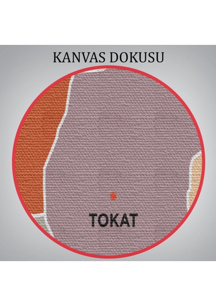 Tokat Ili ve Ilçeler Haritası Dekoratif Kanvas Tablo 1467 indirimleri