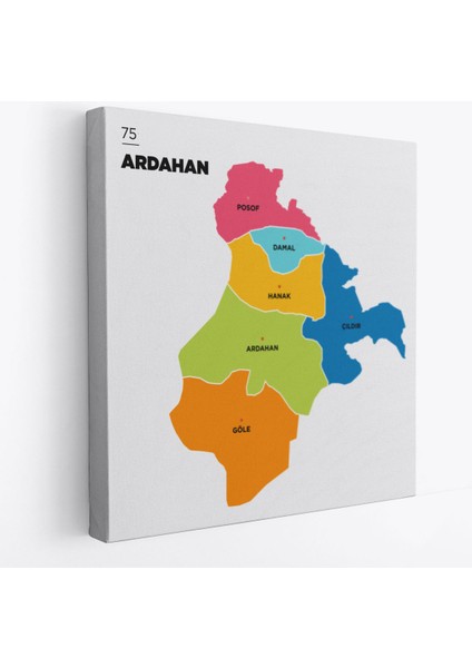 Ardahan Ili ve Ilçeler Haritası Dekoratif Kanvas Tablo 1270