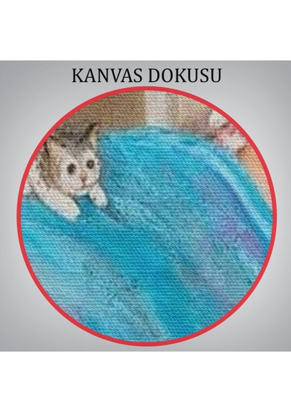 Dianne Denge'in Kedi Sever Yaşlı Kadın Mutluluğun Resmi TABLOSU-6383