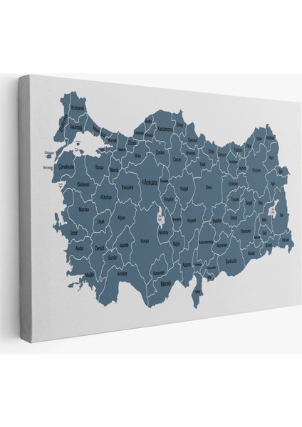 Türkiye Haritası Kanvas Tablo Eğitici ve Öretici Dekoratif Tablo Tablo 3121