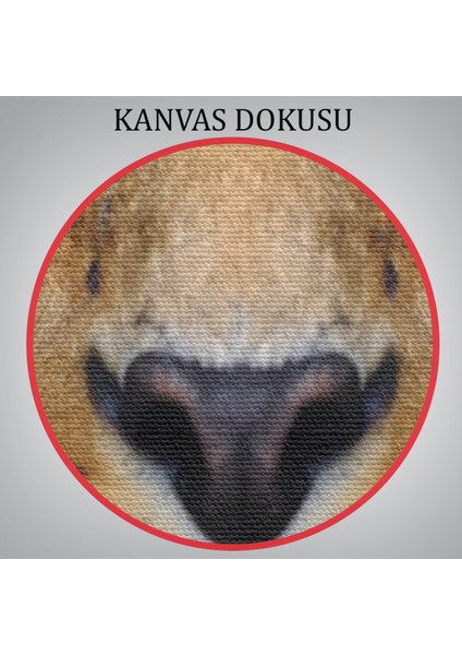 Leopar Dekoratif Kanvas TABLO-5959 indirimleri