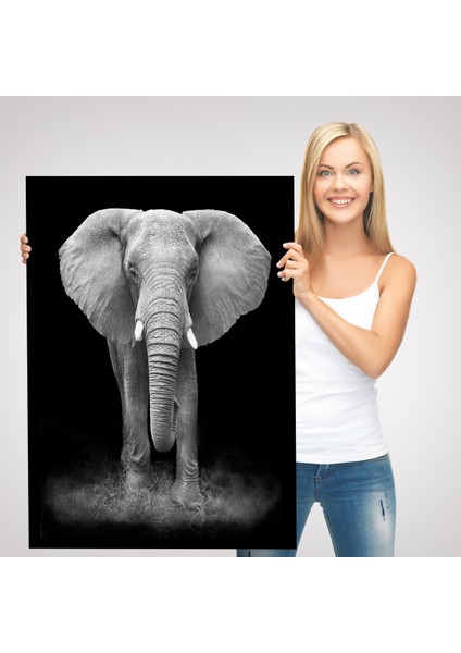 Dev Fil TABLOSU-5958 modelleri