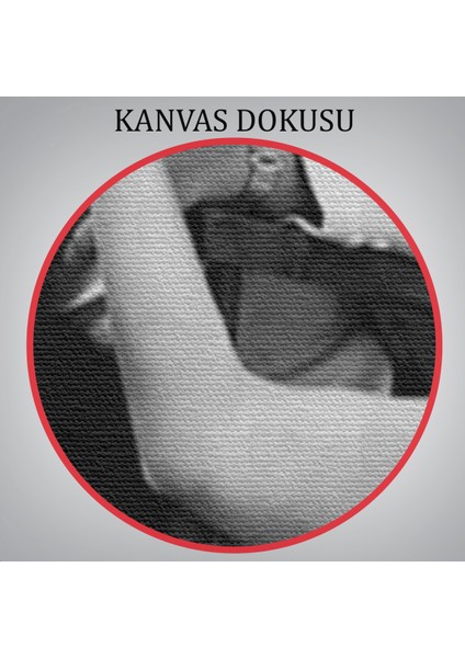 Marilyn Monroe ile Arthur Miller Duvar TABLOSU-6063 indirimleri