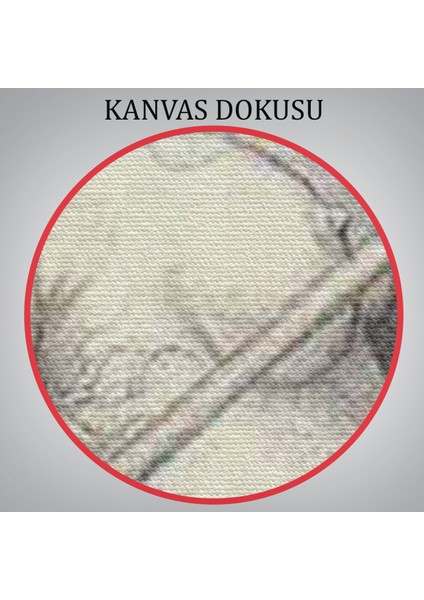 Şabat'a Cadı Uçuşu, Vintage Cadılar Bayramı, Wiccan Tuhaflıkları Kanvas TABLO-5284 indirimleri