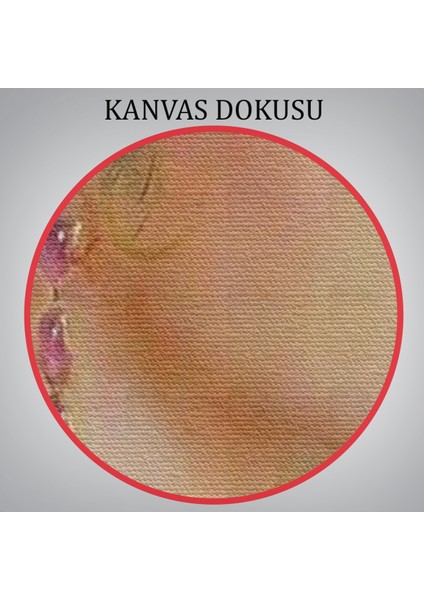 Güzel Helen Dekoratif Duvar TABLOSU-6142
