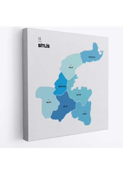 Bitlis Ili ve Ilçeler Haritası Dekoratif Kanvas Tablo 1299