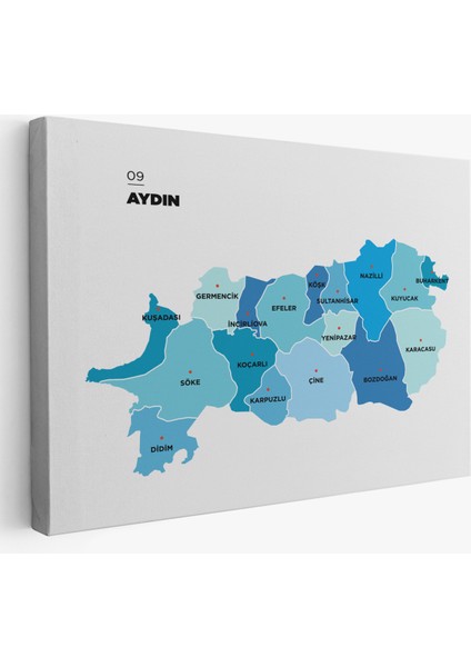 Aydın Ili ve Ilçeler Haritası Dekoratif Kanvas Tablo 1278