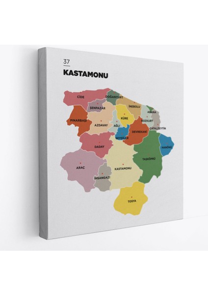 Kastamonu Ili ve Ilçeler Haritası Dekoratif Kanvas Tablo 1383