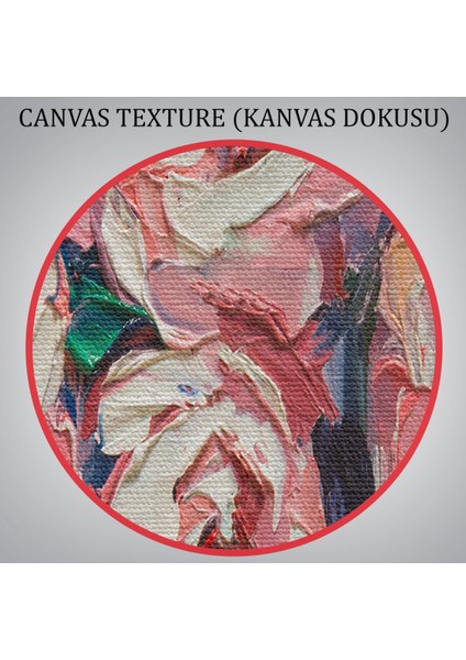 Şakayık Çiçeği Tablosu, Kanvas Duvar TABLOSU-1198 indirimleri