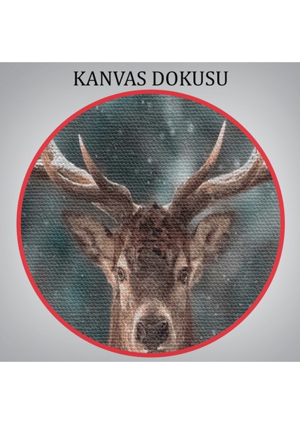 Ren Geyiği ve Kar Kanvas Tablo, Ren Geyiği Kış Ormanı TABLO-5370
