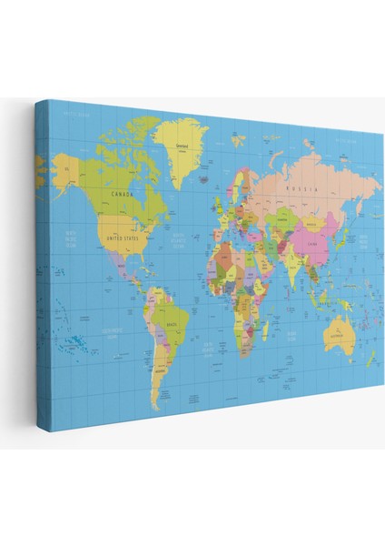 Dünya Haritası Meridyenli Dekoratif Kanvas Tablo 1068