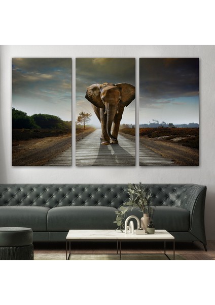 Fil Dekoratif Kanvas Tablo 1118 modelleri