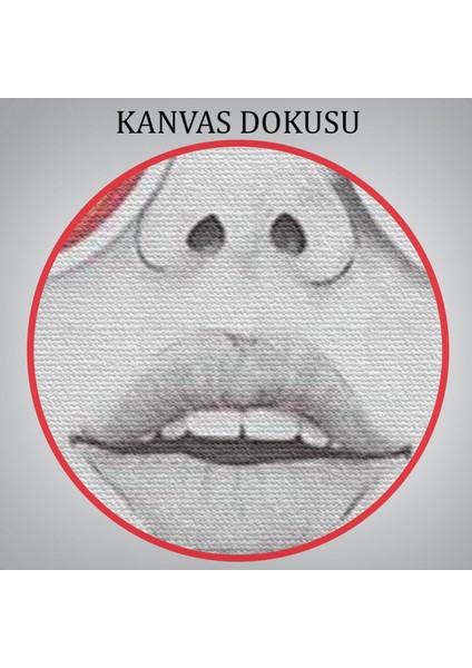Çiçekler Saçan Optimist Kadın TABLOSU-6269