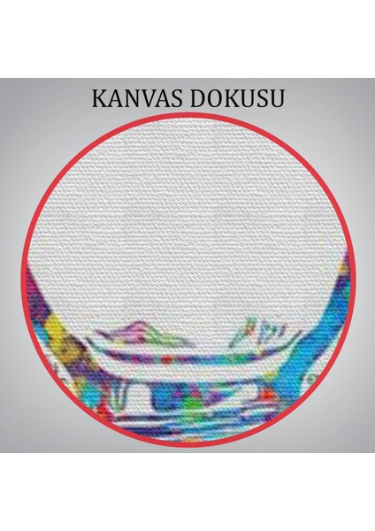 Renkli Dişler Implant Diş Hekimi TABLO-6565