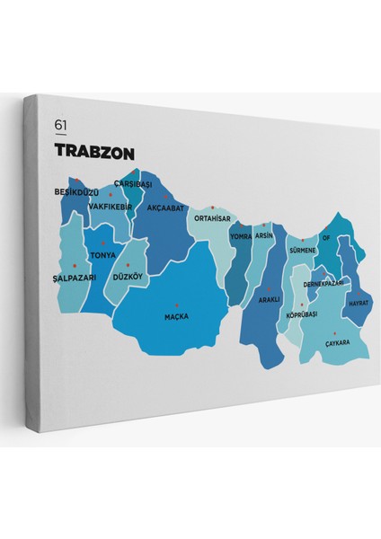 Trabzon Ili ve Ilçeler Haritası Dekoratif Kanvas Tablo 1471