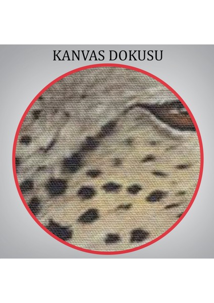 Mustafa Kemal Atatürk Yakın Çekim Duvar TABLOSU-6213 indirimleri
