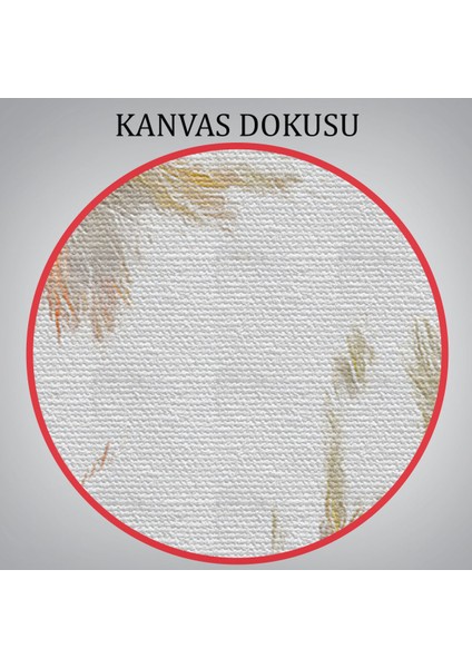 Yağlı Boya Kartal Kanvas TABLO-5909