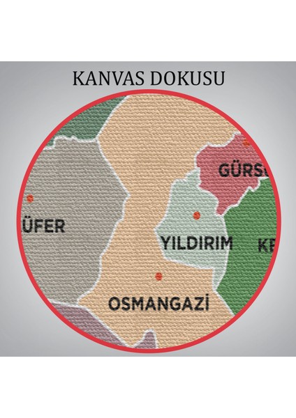 Bursa Ili ve Ilçeler Haritası Dekoratif Kanvas Tablo 1307