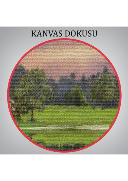 Göl Kıyısındaki Orman Evi Manzarası Yağlıboya Görünüm Dekoratif Kanvas Duvar TABLOSU-3678