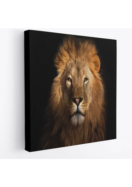 Aslan Dekoratif Kanvas TABLO-5847