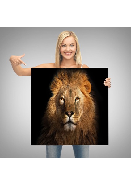 Aslan Dekoratif Kanvas TABLO-5847 modelleri