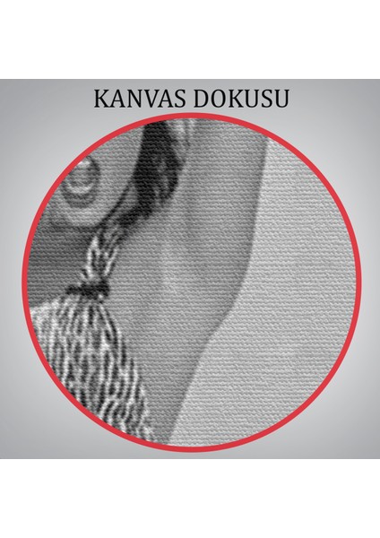 Leopar Bikinili Bettie Page Duvar TABLOSU-6053 indirimleri