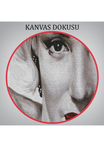 Marilyn Monroe Dekoratif Duvar TABLOSU-6610 indirimleri