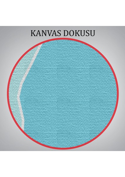 Aksaray Ili ve Ilçeler Haritası Dekoratif Kanvas Tablo 1258