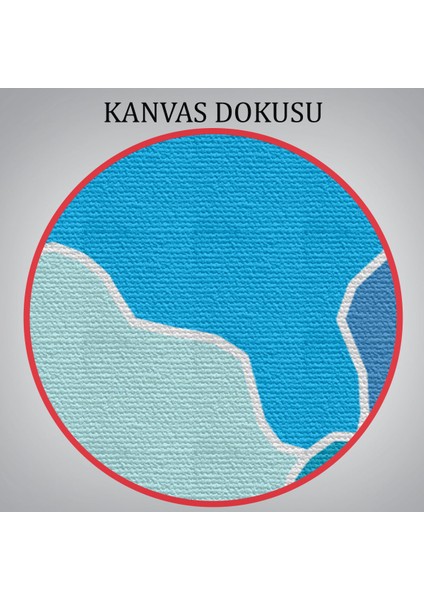 Uşak Ili ve Ilçeler Haritası Dekoratif Kanvas Tablo 1477