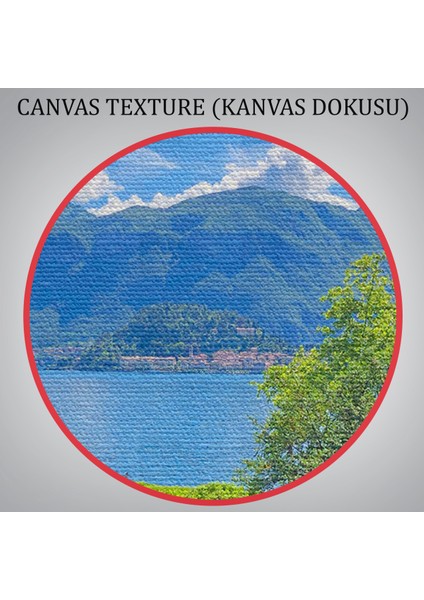 Mor Çiçekler Arasındaki Göl Manzaralı Ev Duvar TABLOSU-3673 indirimleri