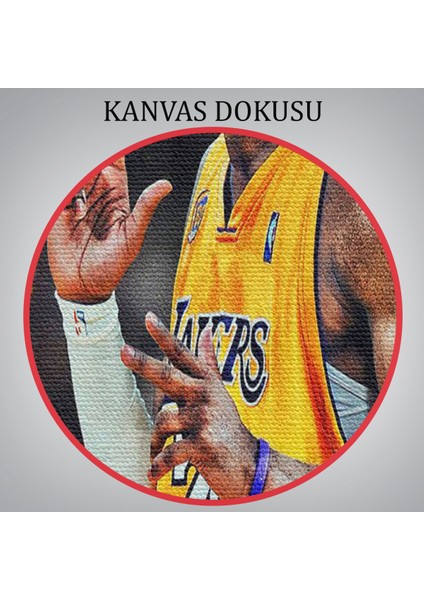 Kobe Bryant Invincible Black Mamba Kanvas TABLO-5086 indirimleri