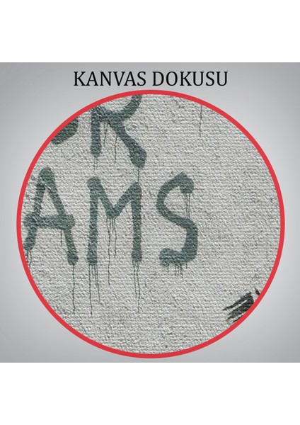 Bansky'nin Hayallerini Takip Et - Iptal Edildi Isimli Eseri Kanvas TABLO-5009 indirimleri